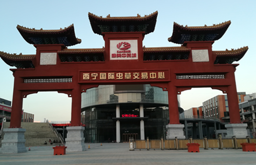西宁康美中药城LED91短视频版高清在线观看免费